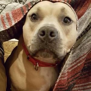 Meet your Posher, Ana